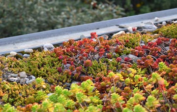 the cost of Breacleit green roof installation