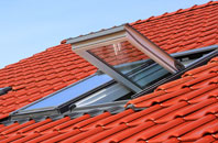 Breacleit roof window